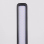 Настольная лампа Elektrostandard Pele черный TL80960 4690389136283