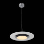 Подвесной светодиодный светильник ST Luce Netto SL568.103.01