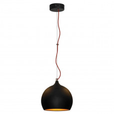 Подвесной светильник Lussole Loft GRLSN-6116-01